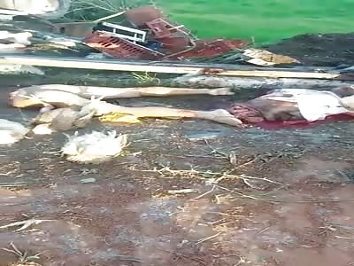 Gruesome Aftermath: Truckers die in accident in Brazil