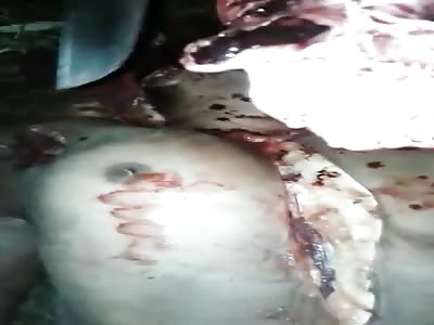 Brazilian prisoners show body ... Dismembered