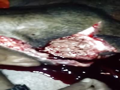 New murder in MacapÃ¡ Brazil