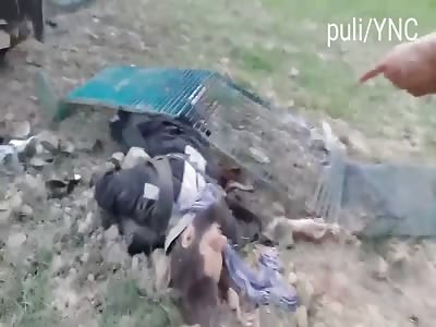 Soldiers fallen in combat