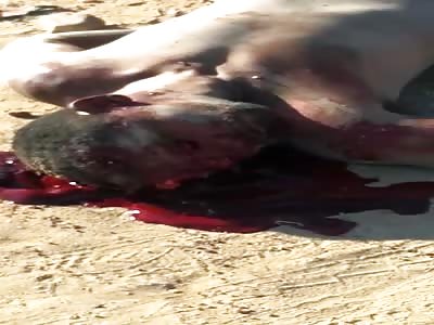 Dying Man in Fatal Road Accident in Juazeiro, Brazil