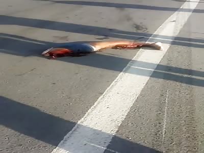 ACCIDENT IN  WITH FATAL VICTIM