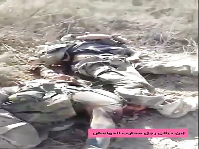 Soldiers fallen in combat