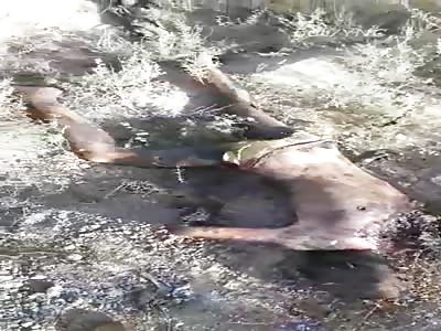 PKK soldiers killed in battle