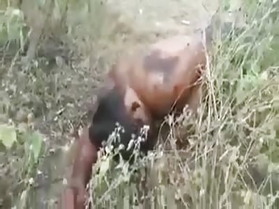 Executed in the vicinity of Colonia Lomas Verdes .. Mexico