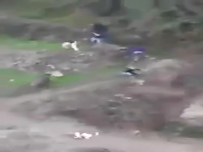 Wild Boar Attacks  Elderly Man 