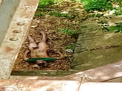 Wtf man without life thrown away as garbage