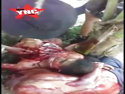 The best classics of GORE 2018