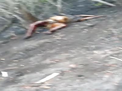 Body found in a state of putrefaction