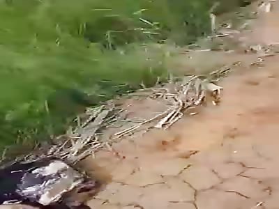 Accident with fatal victim