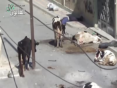 Airstrike kill civilians in syria