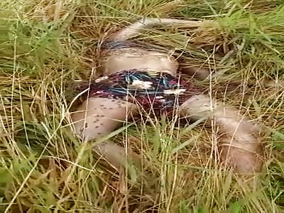 Decapitated Girl is Found Feeding the Flies