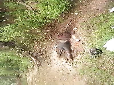 Accident with fatal victim