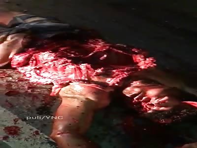 Gruesome Carnage On The Road (More Footage)