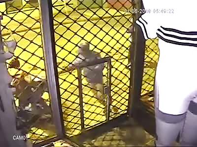 Football Fan Savagely Beaten to Death by Rival Supporters 