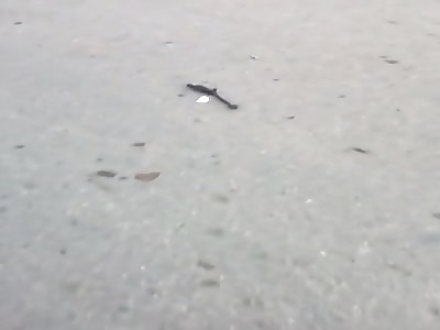 Accident with fatal victim