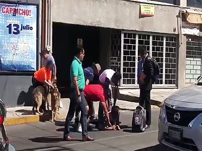 Thief receives electric shocks