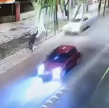 Poor Cyclist Violently Thrown Against the Tree