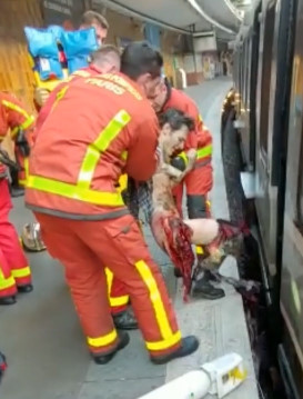 Drunk Guy Got Horrifically Amputation by Train