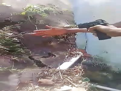 Don't Steal in Brazil