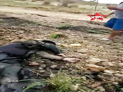 Accident with fatal victim