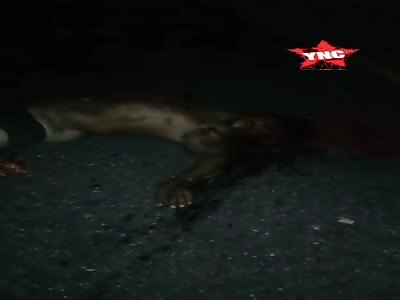 Accident with fatal victim