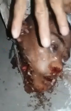 Alleged Rapist Pays the Price in Brazil.