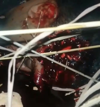 Dying Thug Poses on Cameras After Getting 4 Bullets in the Brain