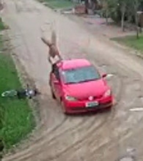 Red Car Driver Try Sends Man to the Grave