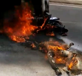 Not Even Recognizable as Human (FULL VERSION)