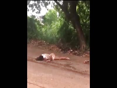 Brutal Accident Pretty Girls Pretzeled Under Trees