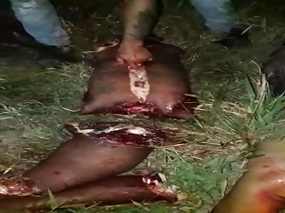 The Butcher's Carnival