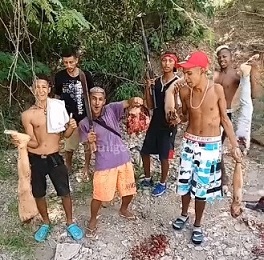 Cartel Opens up the Butcher Shop