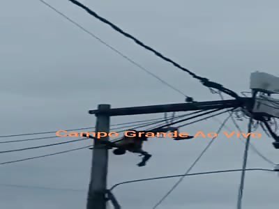 Man dies electrocuted (with high voltage energy) 