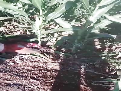 ACCIDENT  ..with fatal victim