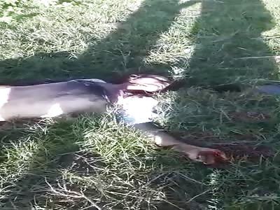 Murdered man with head shot Brazil