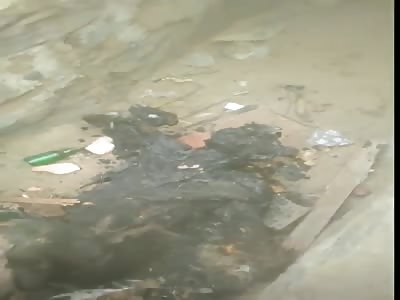 burned thief  (barbecue thief)