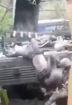 These Guys Die and Their Dictator Does Not Even Care