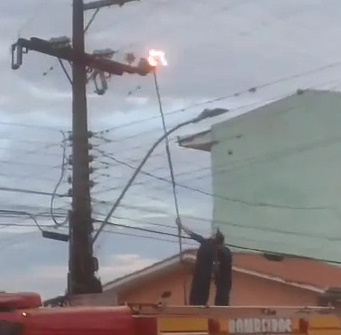 Electrocuted Trying to Catch Cat
