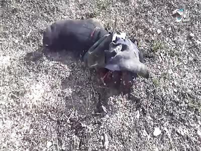 Islamic State of an explosive device