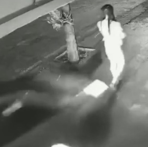 Car Comes Speeding Like a Bat Out of Hell