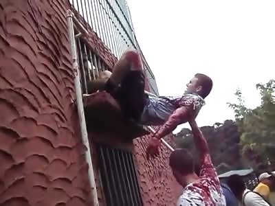 Horrifying Moment Lion Mauls Zookeeper in Front of Visitors