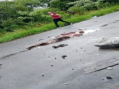 brutal accident mangled body after being crushed by truck