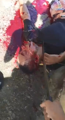 New Cruelty From Brazilian Favelas