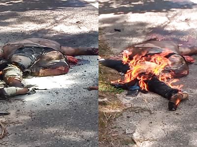 several passengers lose their lives in brutal bus accident