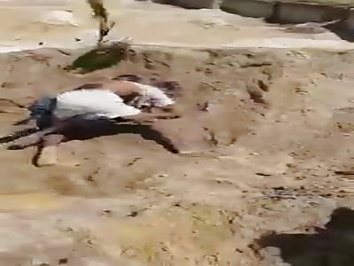 black fight end up whipped 