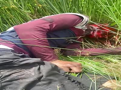 a normal day in brazil another murder 