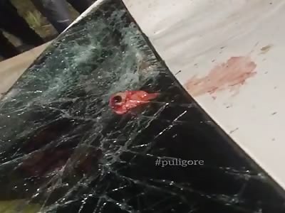 Accident with fatal victim   (his eye on the windshield)