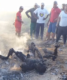 Single Engine Plane Crashes and Explodes.