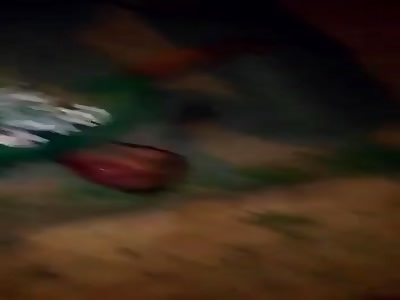 Karma thieves punished for stealing cell phone 